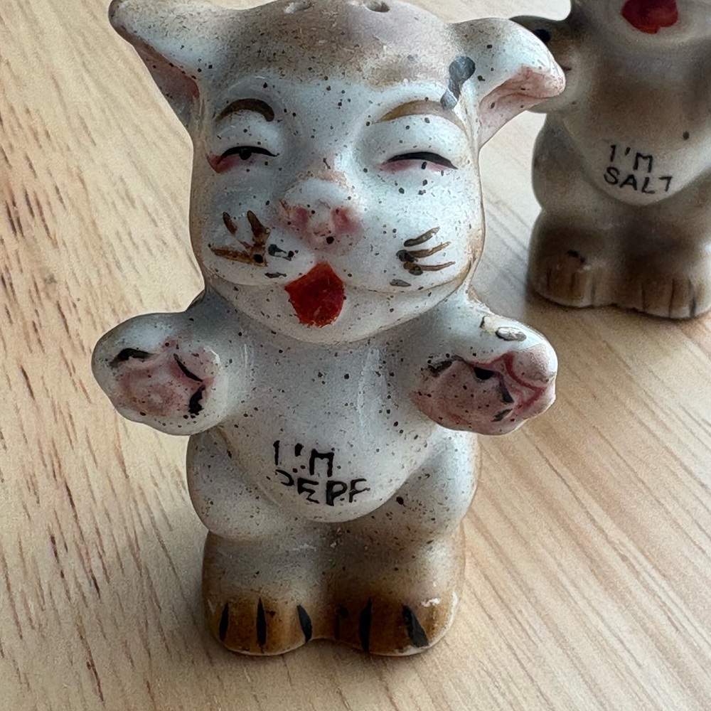Charming set of vintage shakers